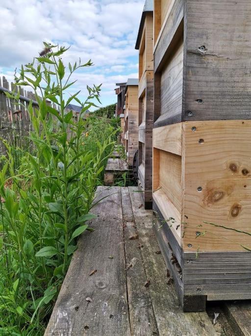 Fewo "Am Bienenstock" In Dallgow-Doberitz Exteriör bild